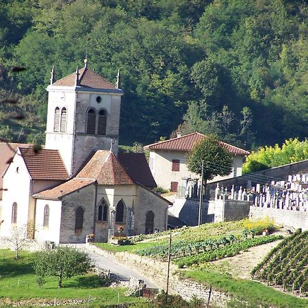 Gite Du Vieux Tonneau Cerdon  Exteriér fotografie